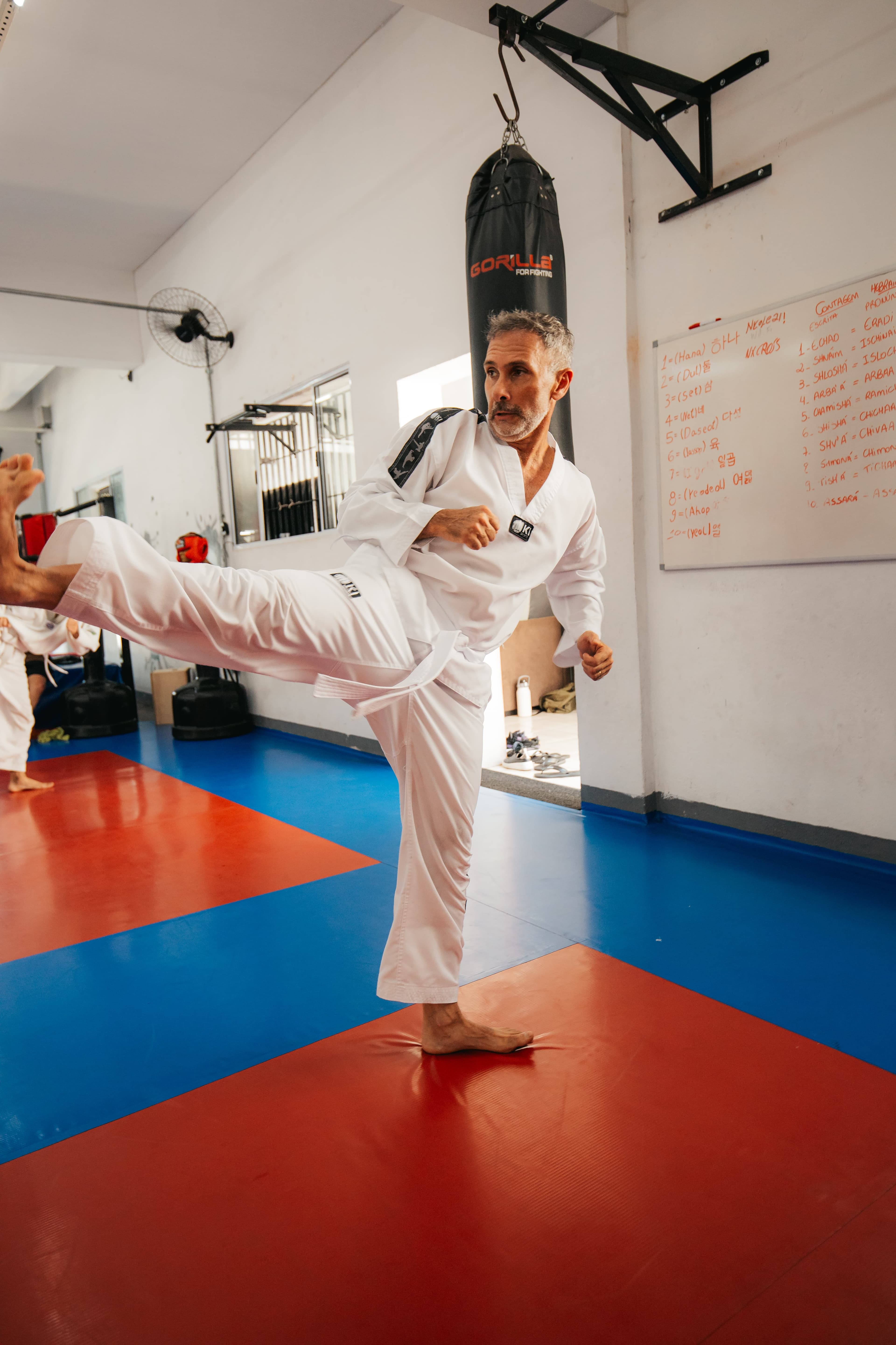 Técnicas de Taekwondo